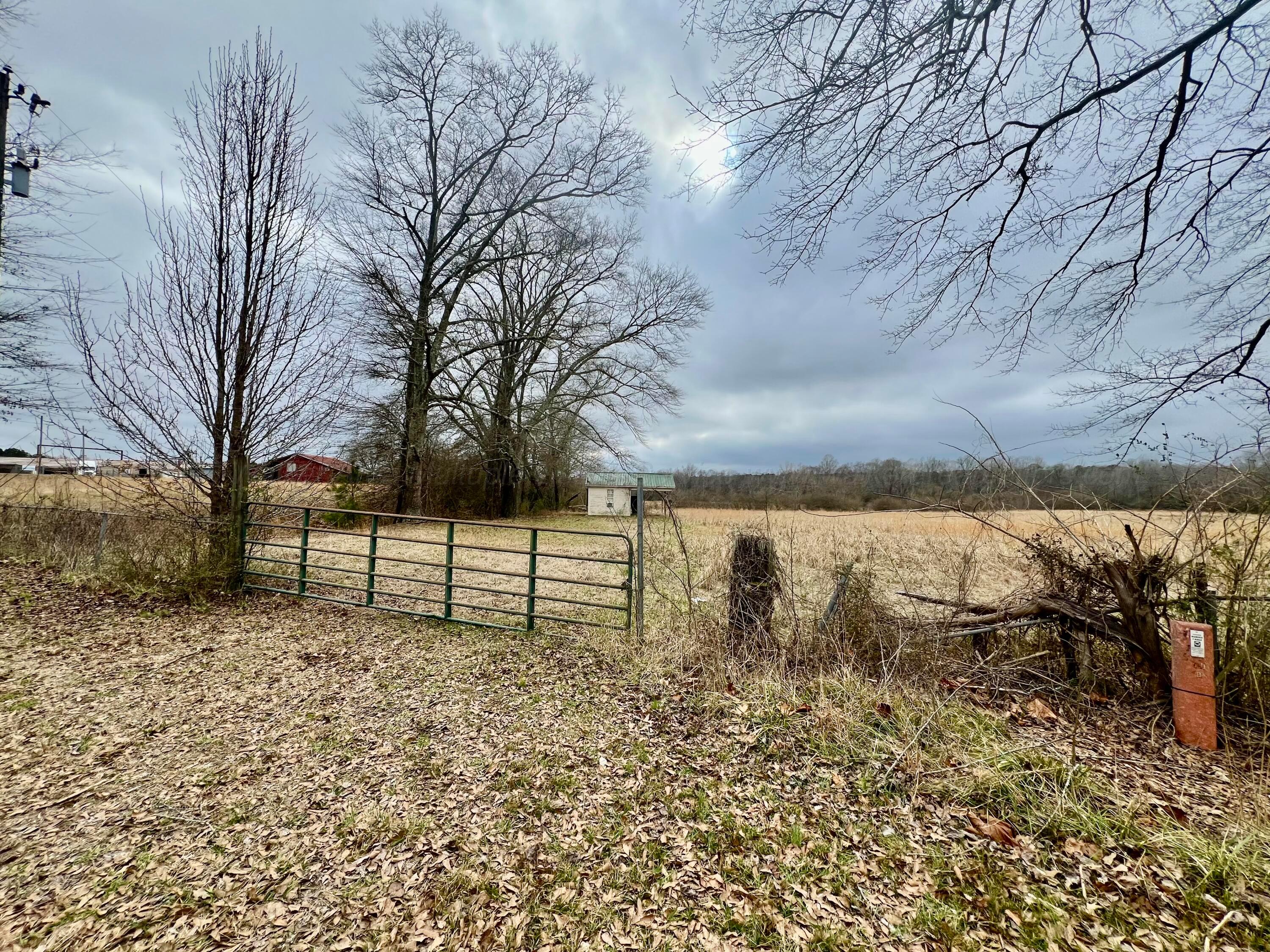 Trull Road Winfield, AL 35594 - Photo 13 of 24 Gallery Image 13