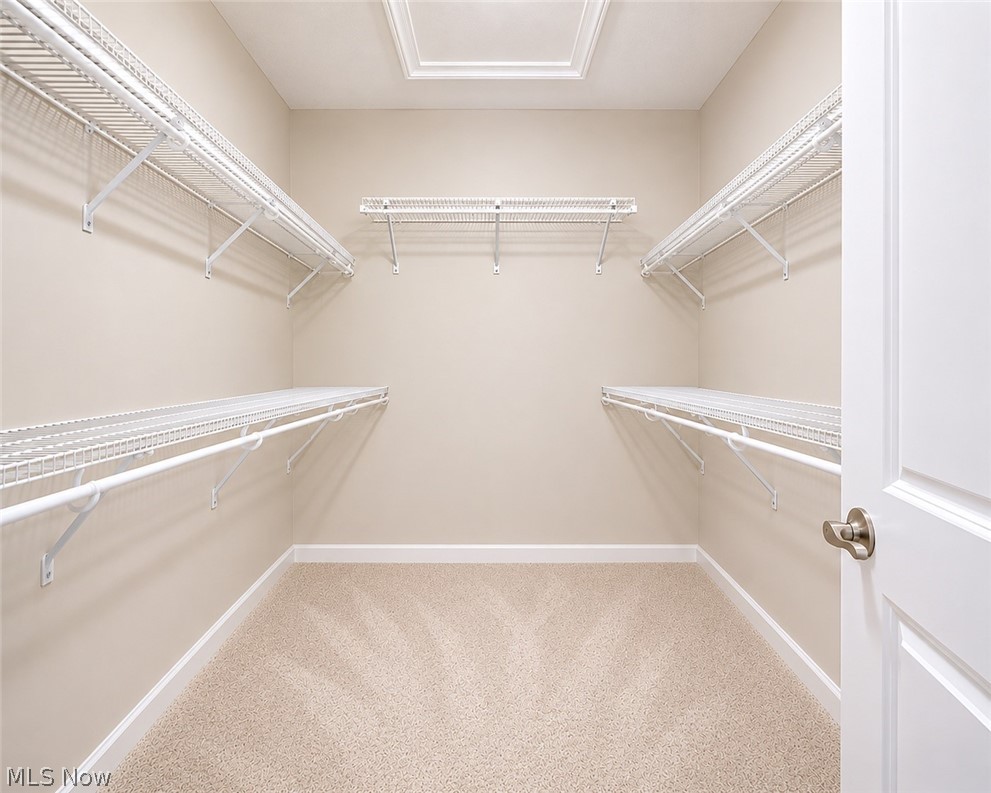 867 Starr Ridge Street Southeast Massillon, OH 44646 - Photo 17 of 29 Walk-in closet with beige-toned walls, white wire shelving, white baseboards, and neutral carpet flooring