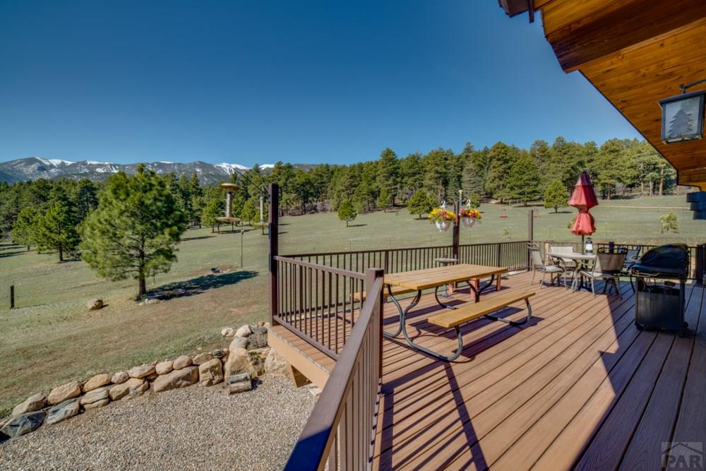 8675 State Highway Rye, CO 81069 - Photo 63 of 75
