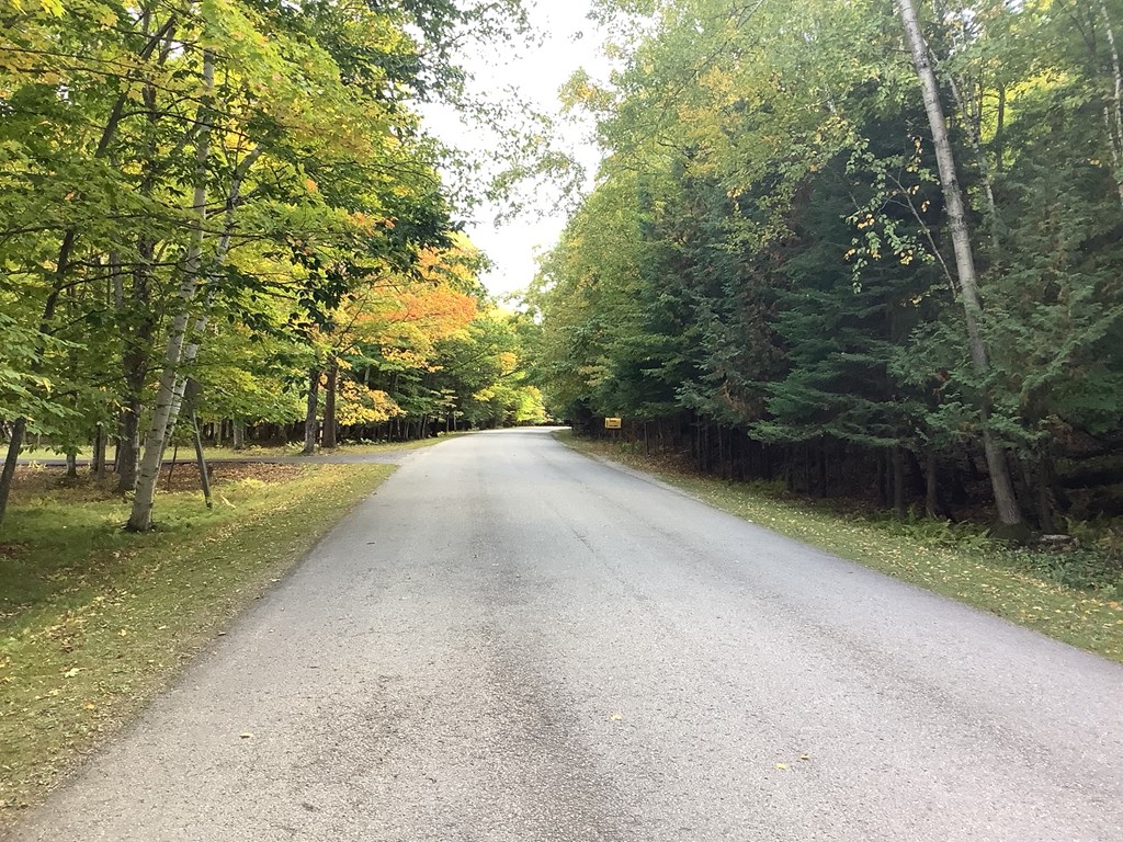 Mountain Road Washington Island, WI 54246 - Photo 6 of 7