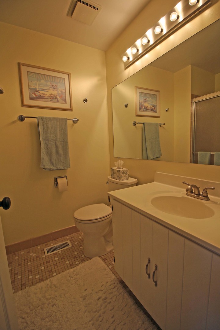 973 Stuart Drive Bartlett, IL 60103 - Photo 14 of 21