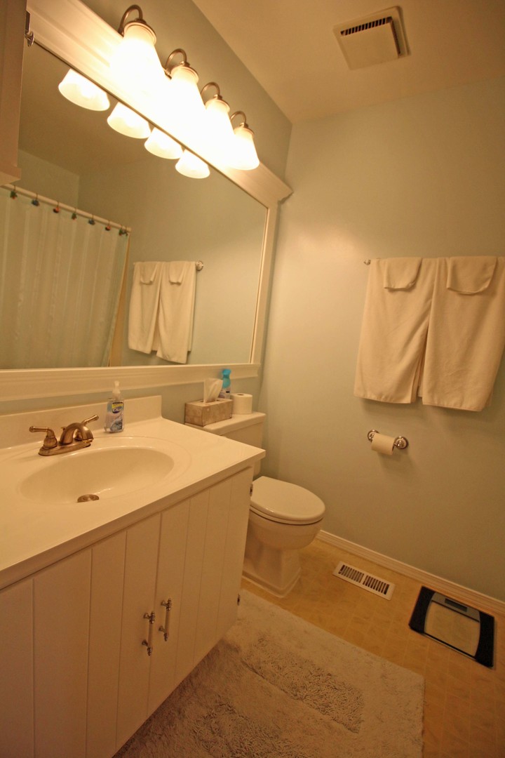 973 Stuart Drive Bartlett, IL 60103 - Photo 18 of 21