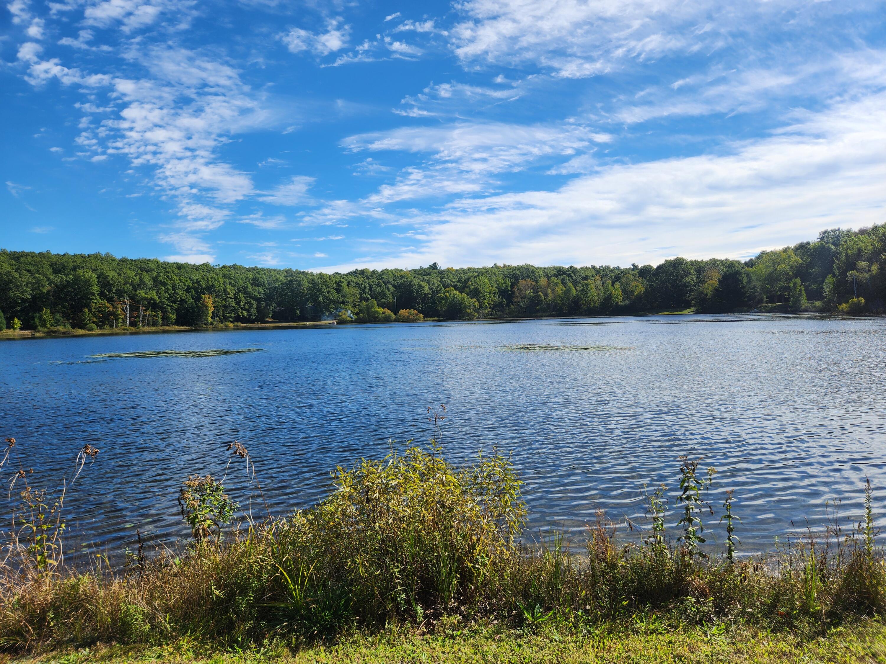 7433 West Buchanan Road Shelby, MI 49455 - Photo 40 of 46 1000007629