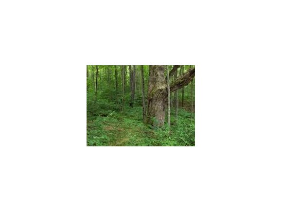 107 Eldridge Road Whitney Point, NY 13862 - Photo 1 of 3 Gallery Image 1