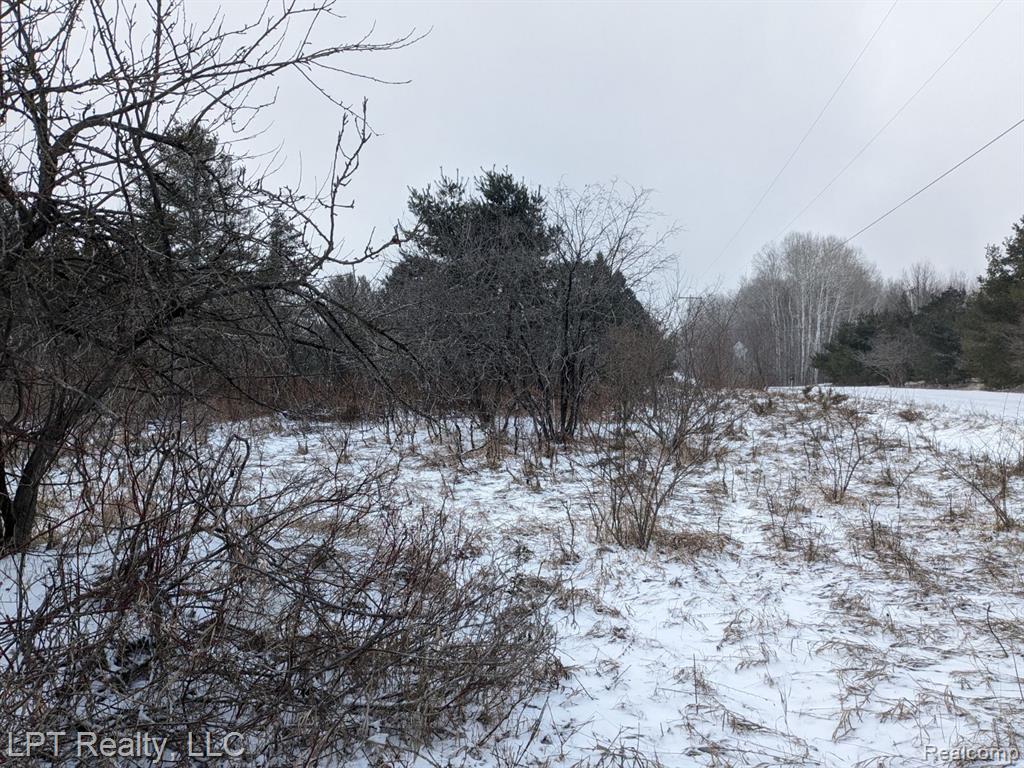 0 Woodmansee Road Cheboygan, MI 49721 - Photo 8 of 10