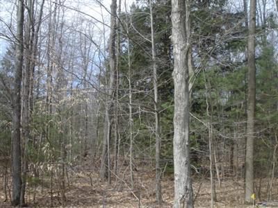 19396 Rosemary Road Spring Lake, MI 49456 - Photo 1 of 4 Primary Photo