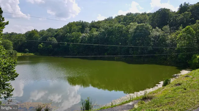 a view of a swimming pool and a yard