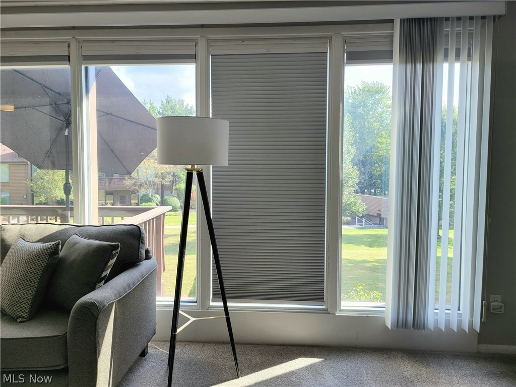 985 Canyon View Road, Unit 202B Northfield, OH 44067 - Photo 22 of 29 NEW Room Darking Blinds + Vertical Blinds - you chose