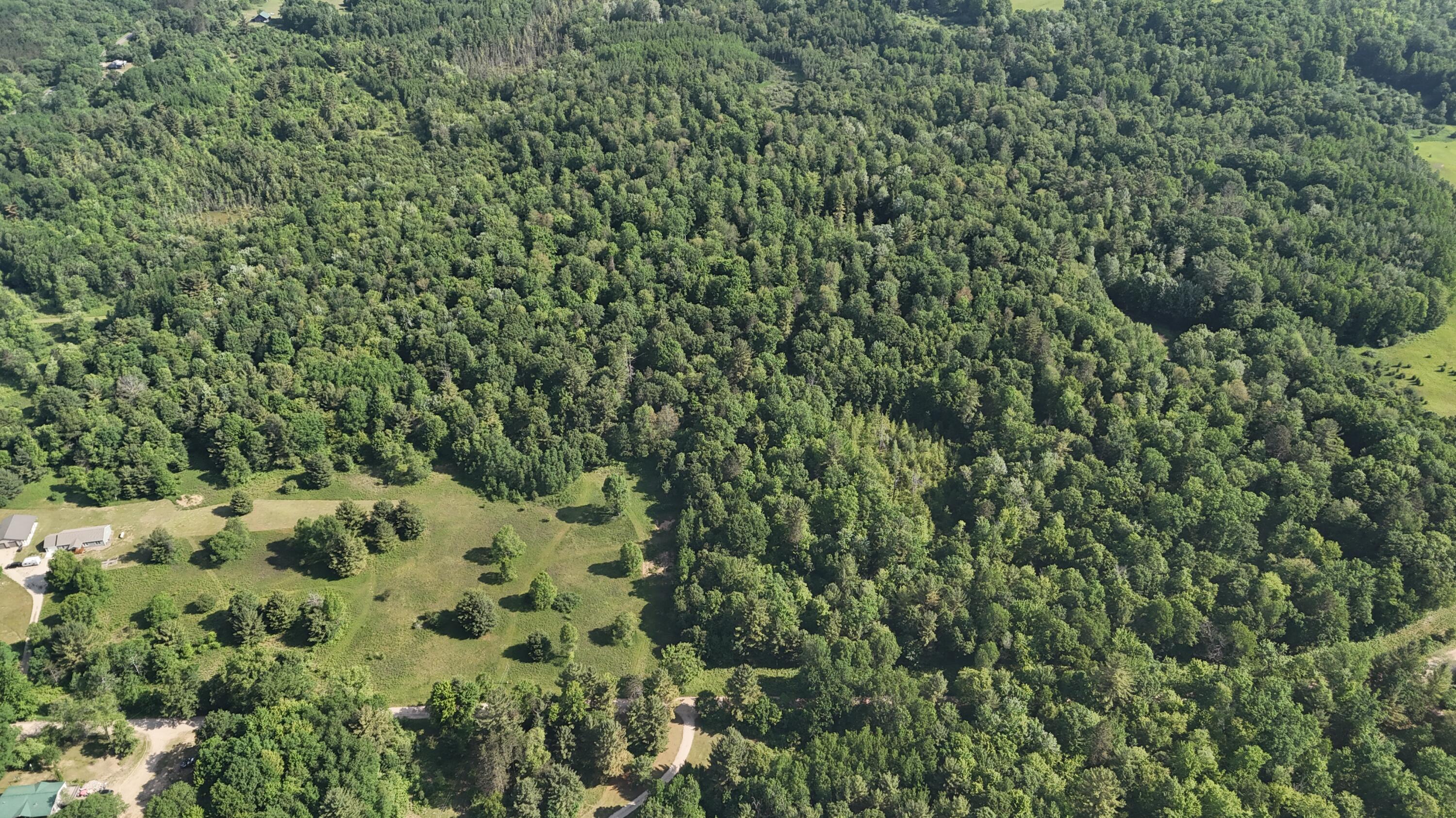 Dickson Road Brethren, MI 49619 - Photo 23 of 27 dji_fly_20250617_100802_0572_17501698475