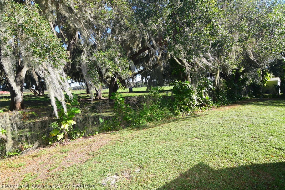 3124 White Oak Road Lorida, FL 33857 - Photo 7 of 34 a backyard of a house with lots of green space
