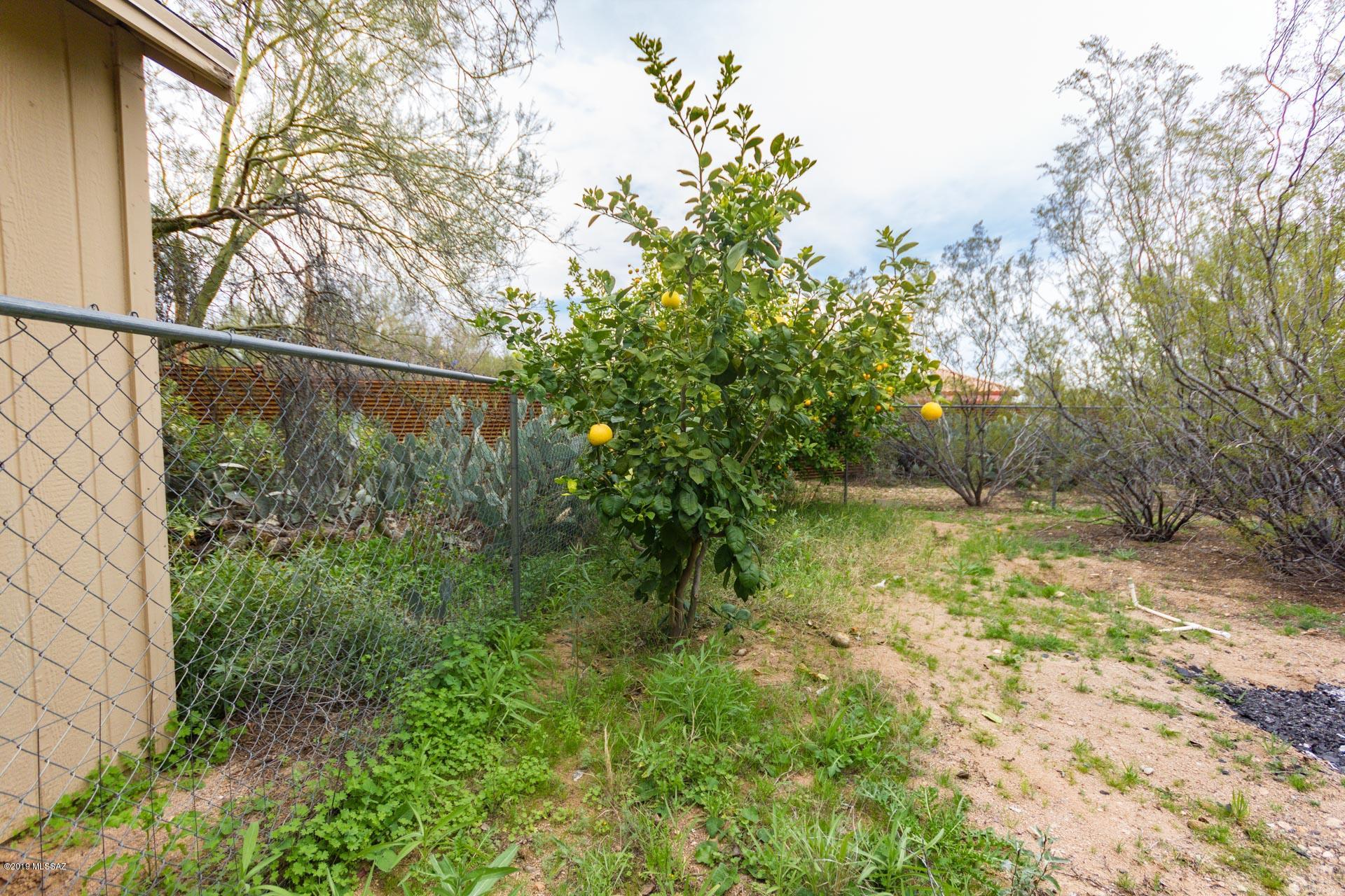 10170 West Rudasill Road Tucson, AZ 85743 - Photo 48 of 50 Gallery Image 48