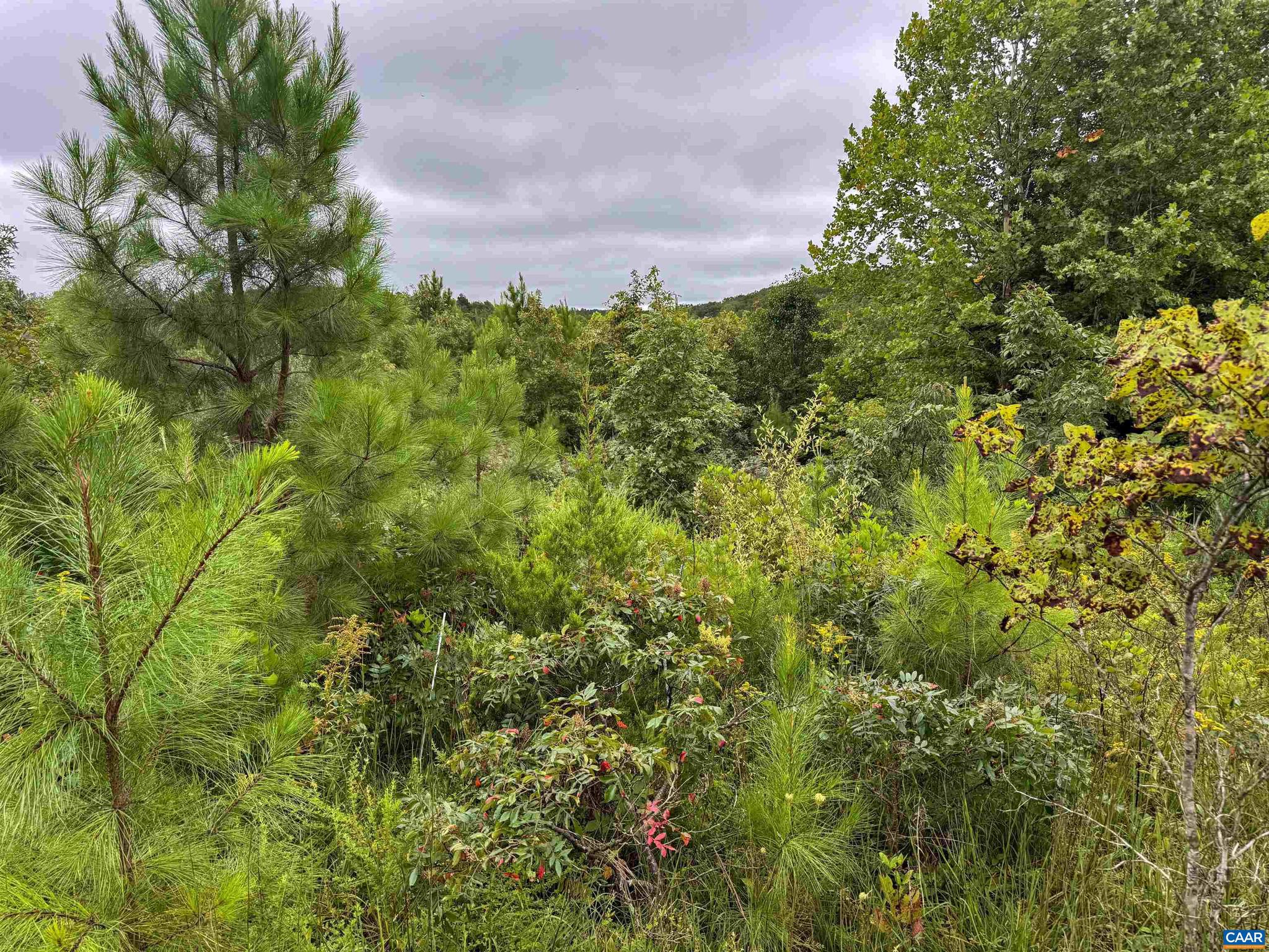Tba Old Green Mountain Road, Unit 500 Esmont, VA 22937 - Photo 16 of 33