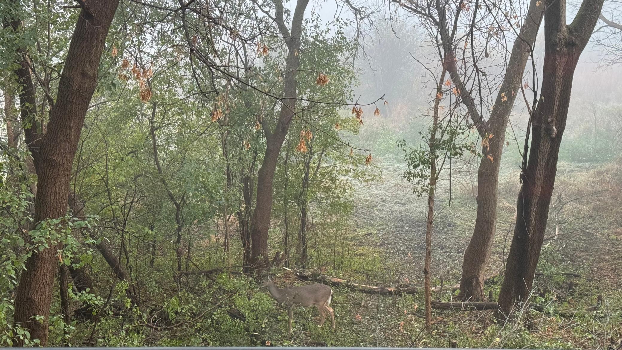 10806 South Shore Drive, Unit 109 Plymouth, MN 55441 - Photo 21 of 32