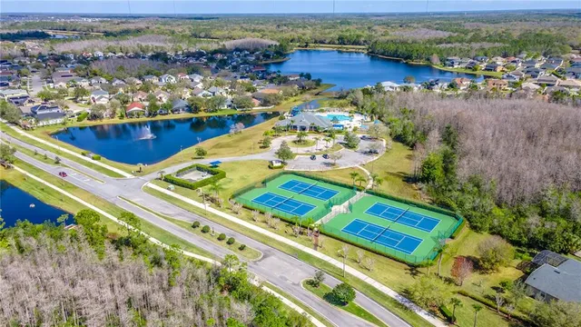 a view of a palm tree with a park