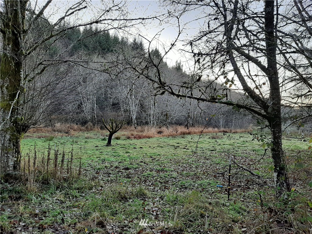 194 Topelt Road Chehalis, WA 98532 - Photo 1 of 1