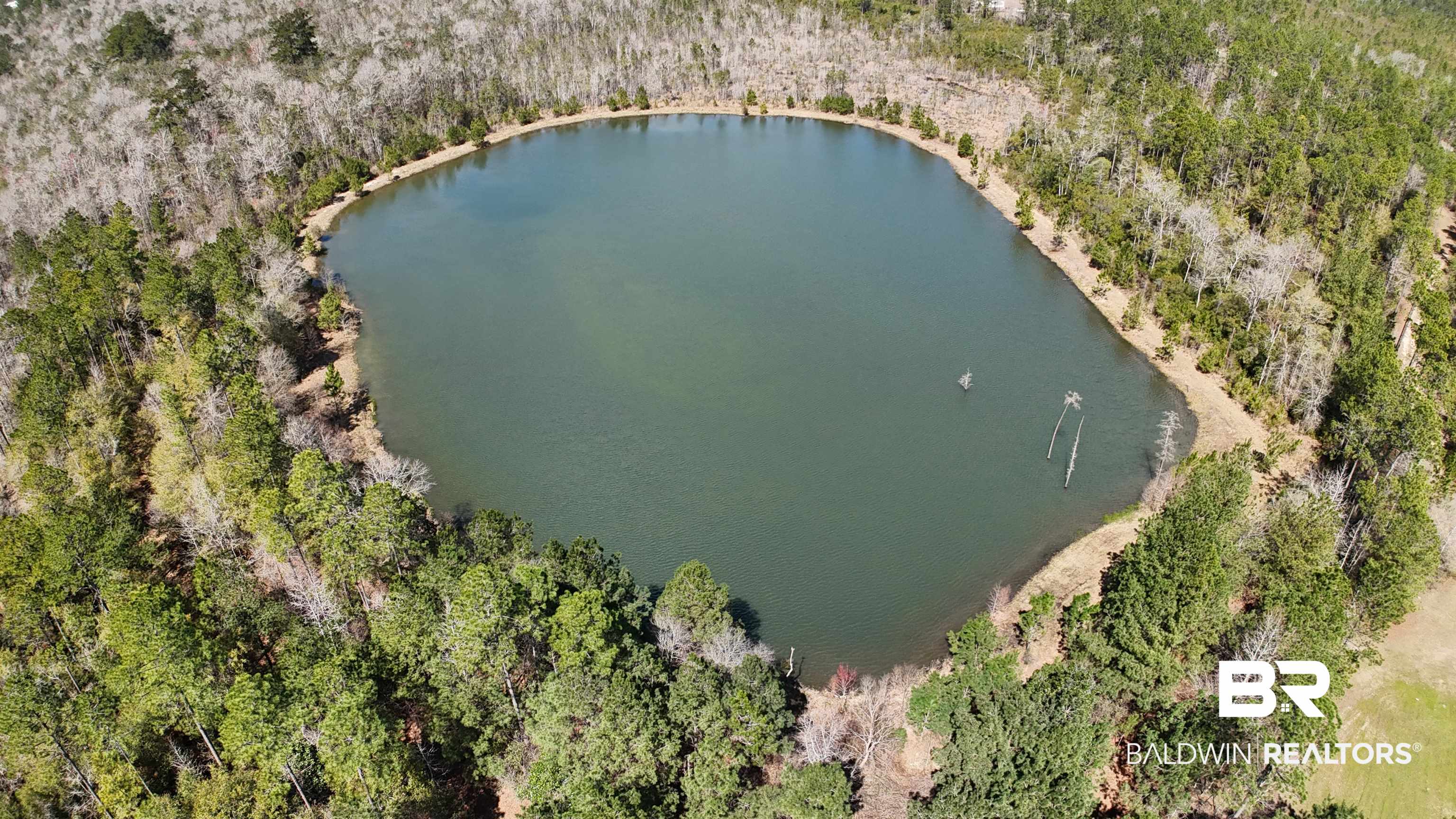 11808 Abb Road Tibbie, AL 36583 - Photo 8 of 31 Bird's eye view with a water view