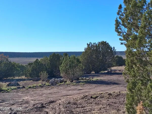 $50,997 | 68 North 8171st, Concho, AZ 85924