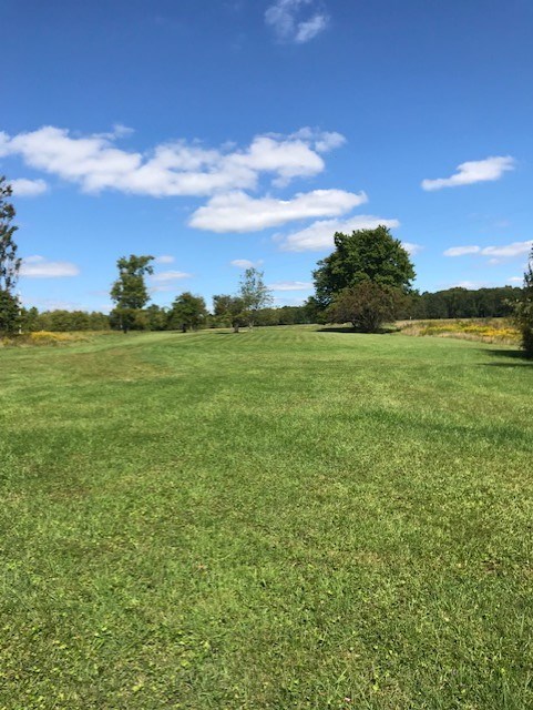 797 Wallacevile Road Titusville, PA 16354 - Photo 4 of 10 a view of a big yard with a large tree