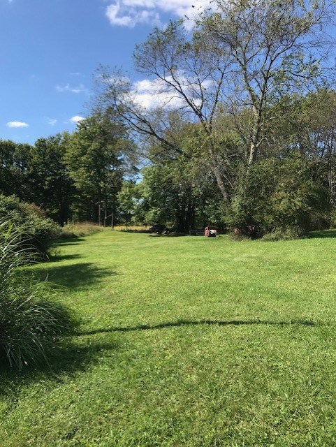 797 Wallacevile Road Titusville, PA 16354 - Photo 5 of 10 a view of a field with an trees
