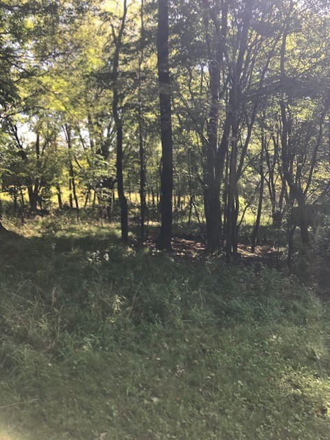 797 Wallacevile Road Titusville, PA 16354 - Photo 7 of 10 a view of outdoor space with trees
