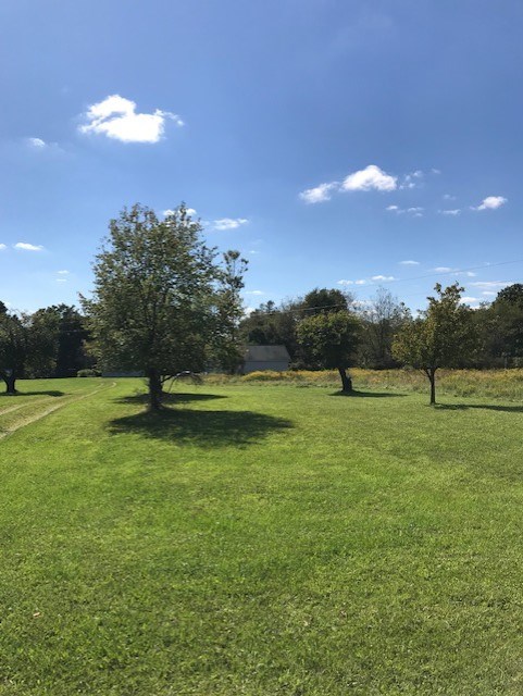 797 Wallacevile Road Titusville, PA 16354 - Photo 9 of 10 a backyard of a house with lots of green space