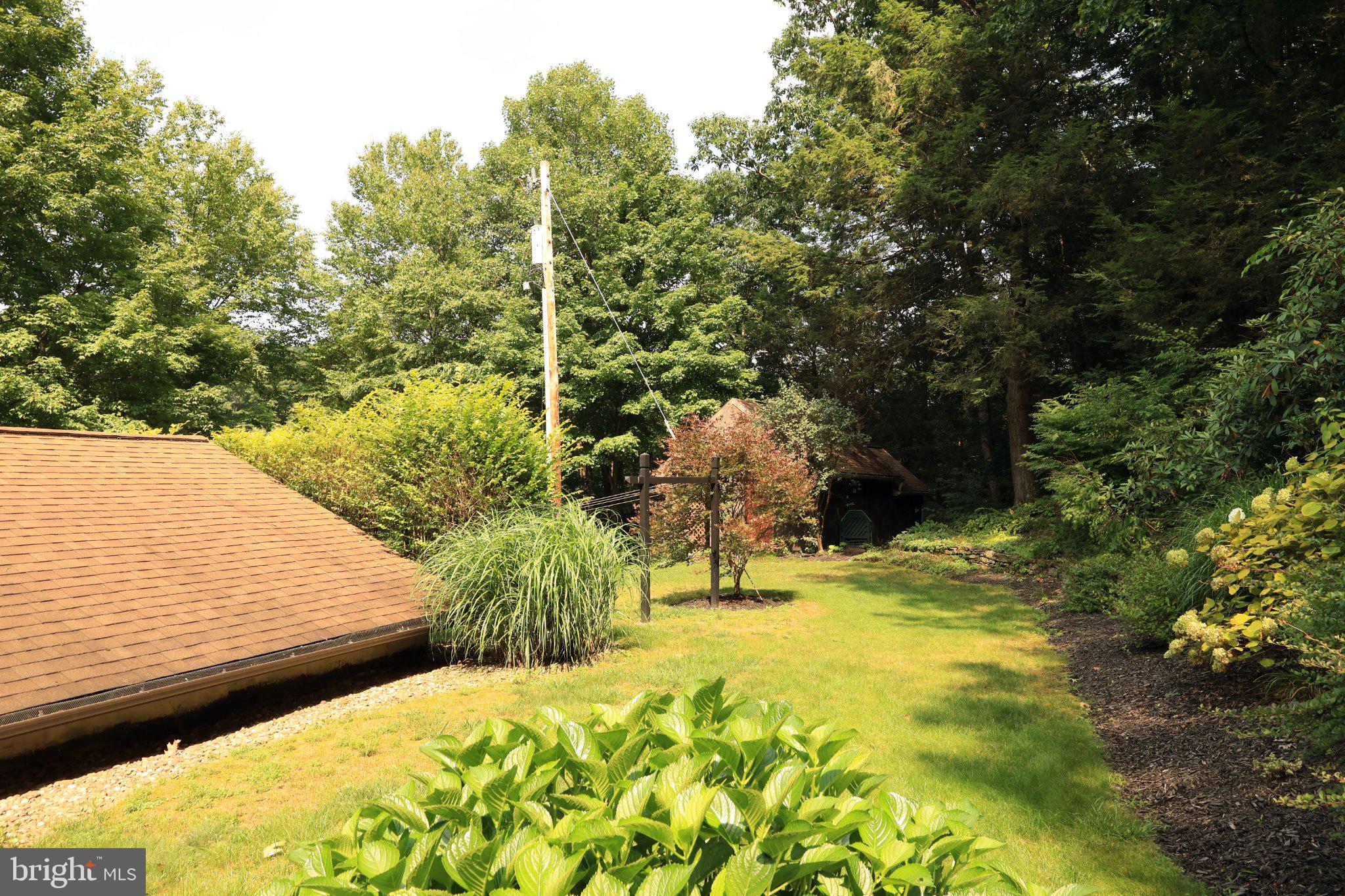 313 Jack Straw Road Julian, PA 16844 - Photo 53 of 69 Lush greenery in a tranquil setting.