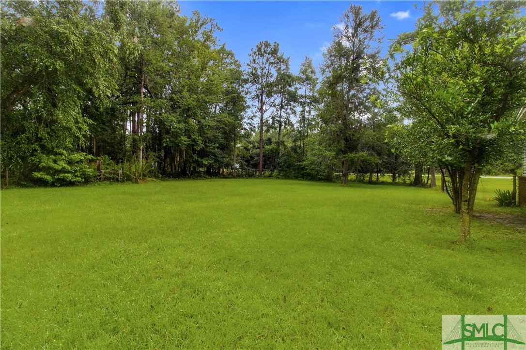880 Toni Branch Road Ellabell, GA 31308 - Photo 26 of 27