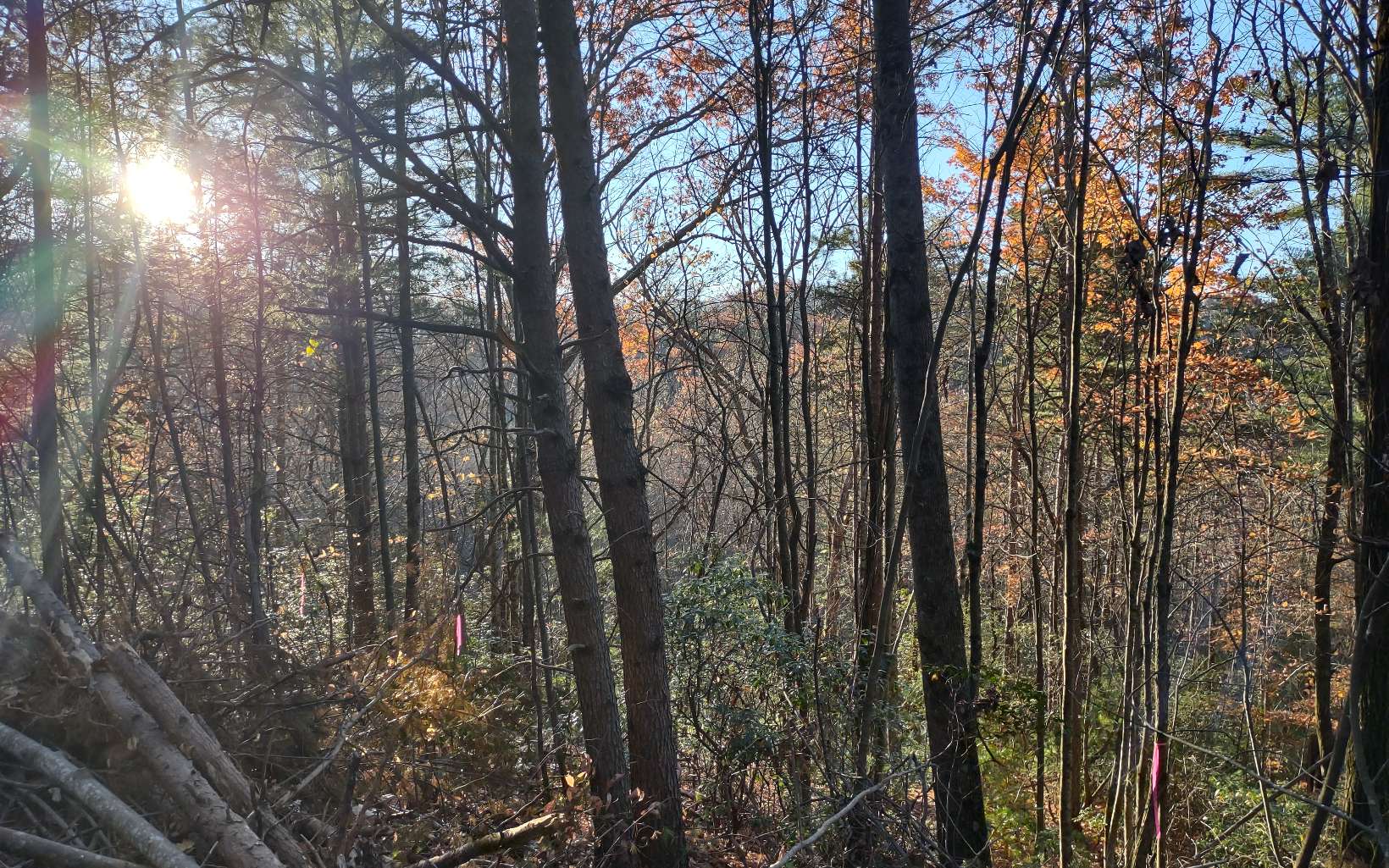 39 Gobbler Knob Road Ellijay, GA 30540 - Photo 3 of 4 Additional View