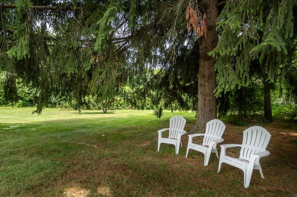 109 Harding Street Medfield, MA 02052 - Photo 32 of 38 Gallery Image 32