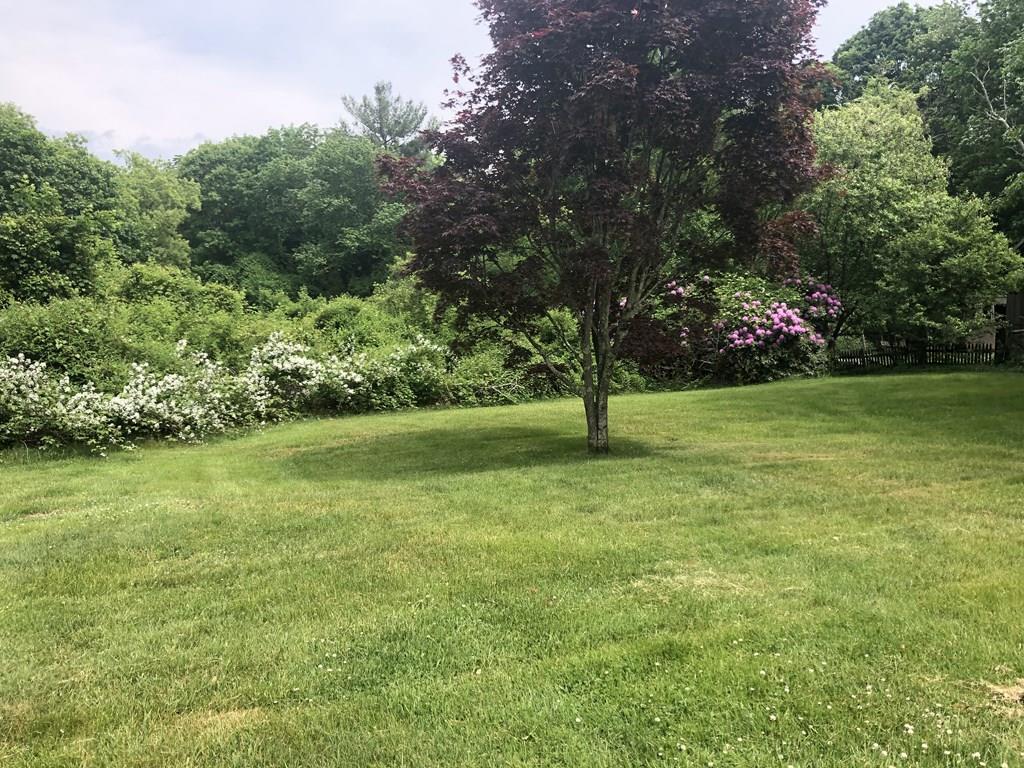 109 Harding Street Medfield, MA 02052 - Photo 35 of 38 Gallery Image 35