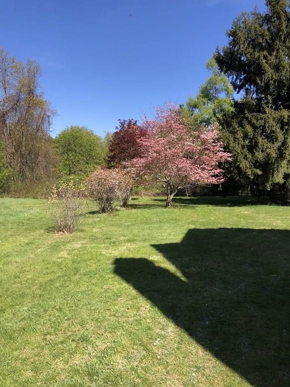 109 Harding Street Medfield, MA 02052 - Photo 38 of 38 Gallery Image 38