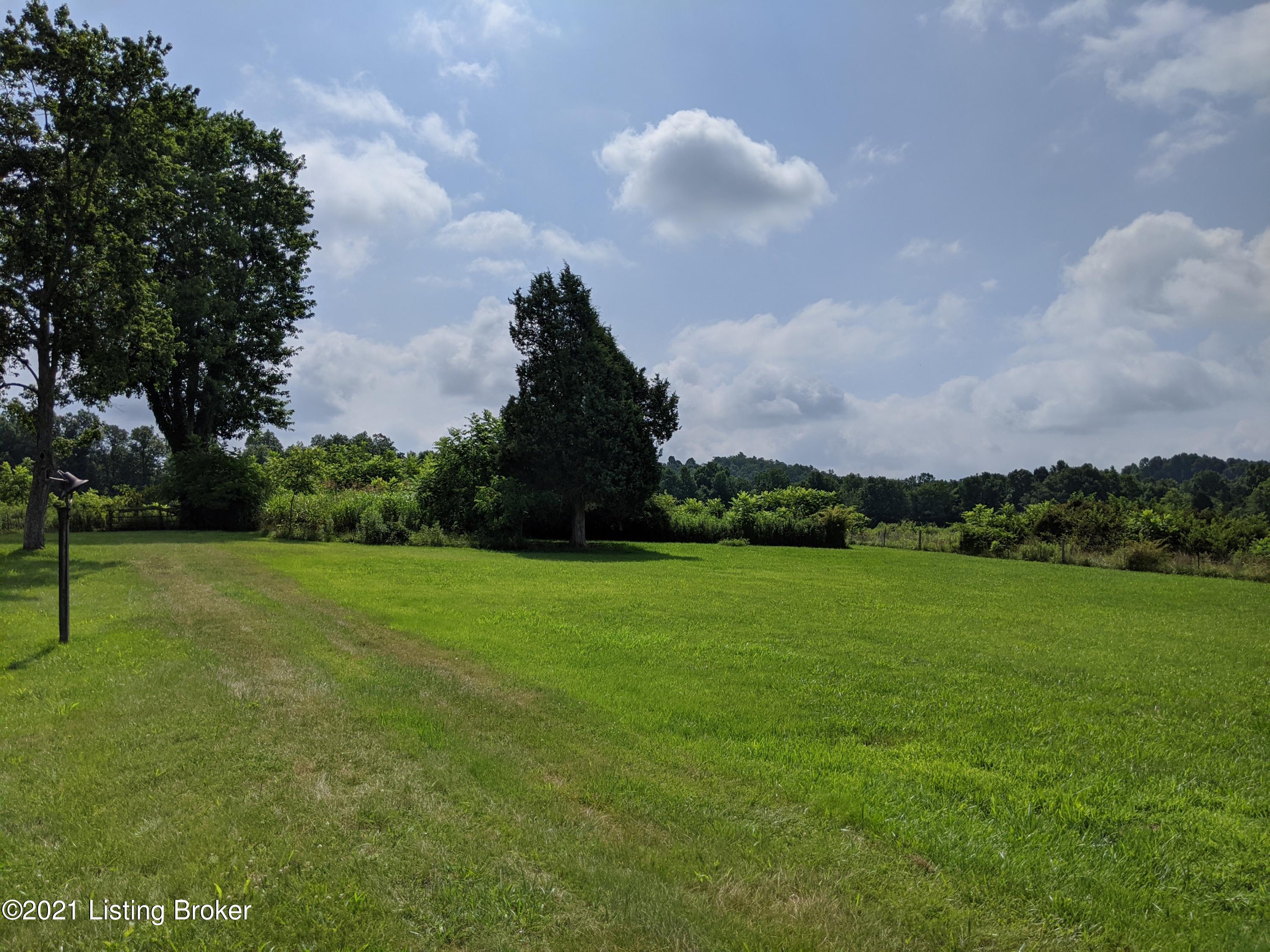 3541 Wilson Church Road Caneyville, KY 42721 - Photo 16 of 17 Caneyville Listing Pic2