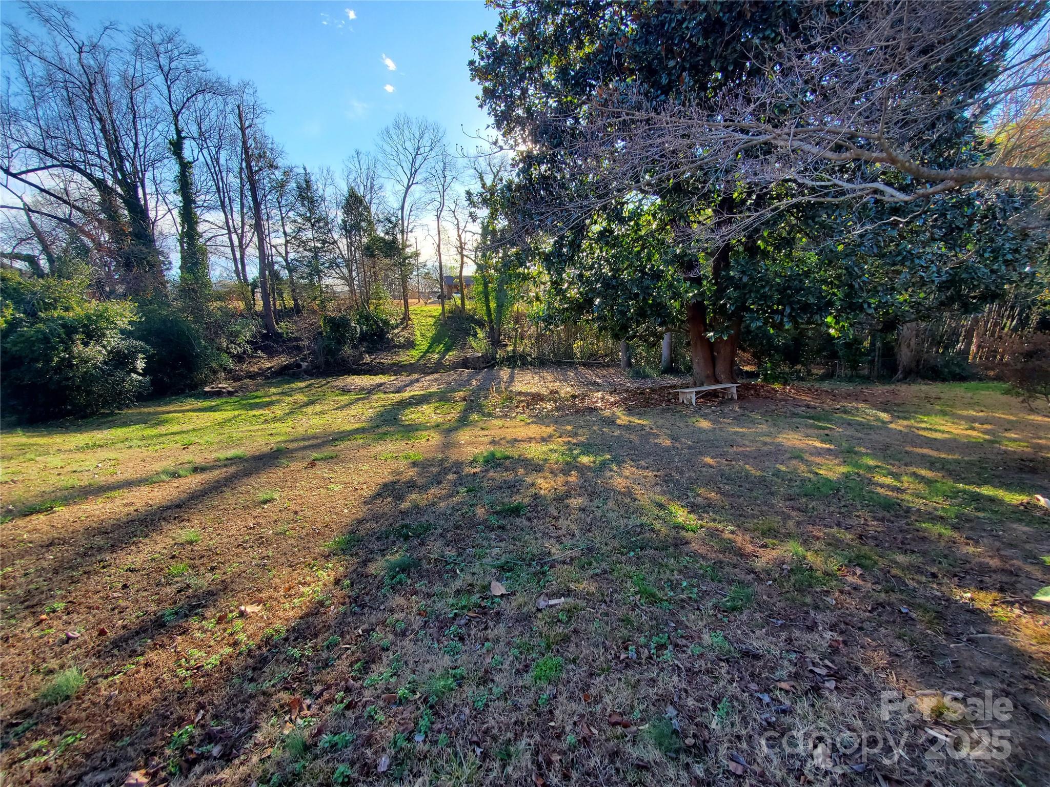 1303 Hunt Street Shelby, NC 28152 - Photo 16 of 16 a view of a yard with plants and trees