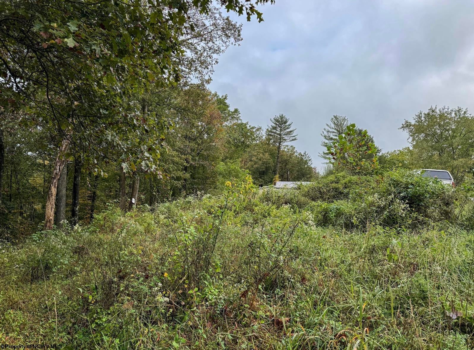 Tbd Tbd Levels Fairmont, WV 26554 - Photo 26 of 30 Gallery Image 26