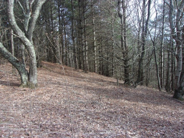 Tbd Big Ridge Road, Unit 10 Independence, VA 24348 - Photo 7 of 7 Gallery Image 7