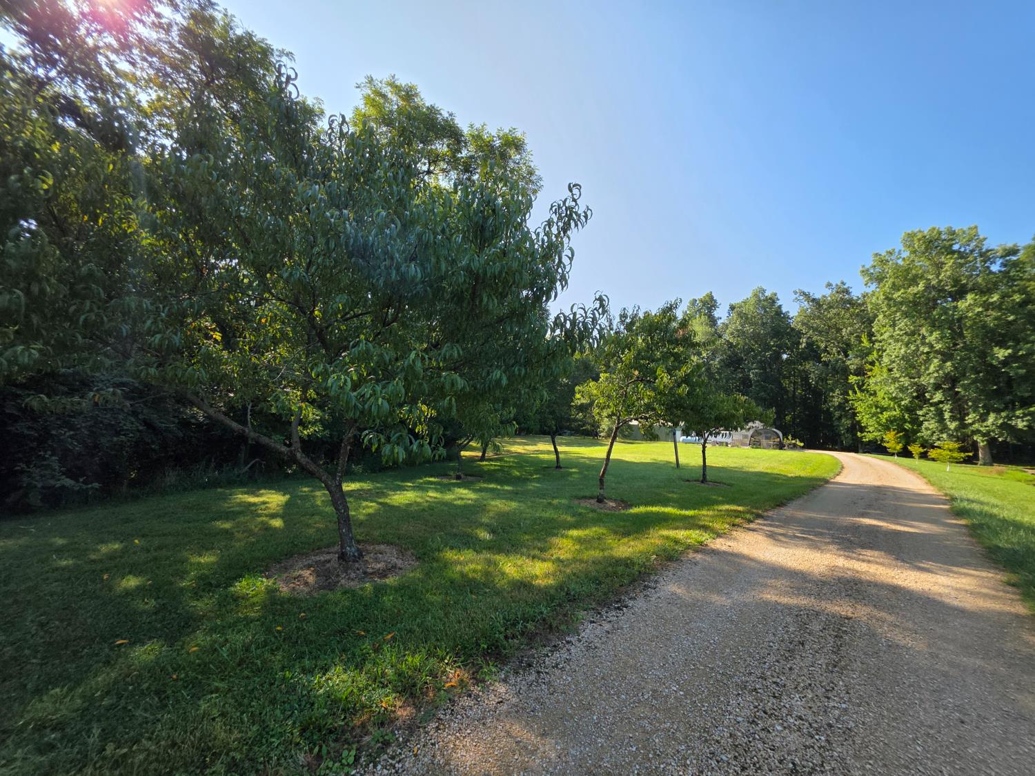 11128 Coleman Road West Bennington, IN 47011 - Photo 23 of 77