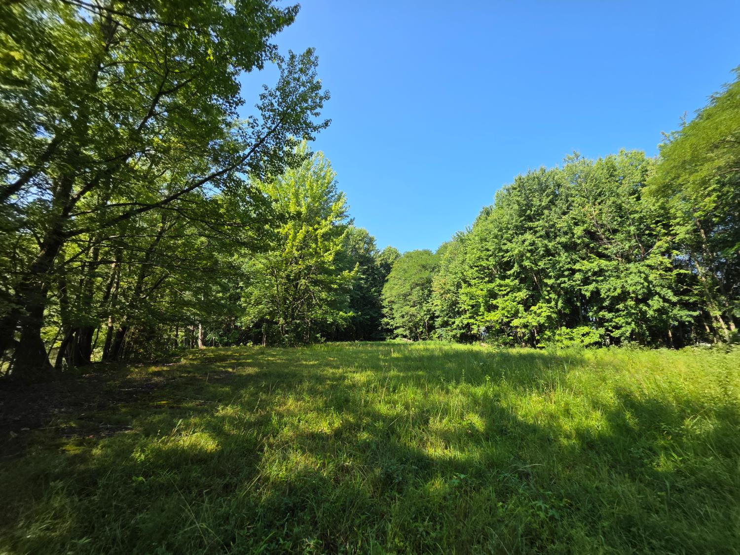 11128 Coleman Road West Bennington, IN 47011 - Photo 47 of 77