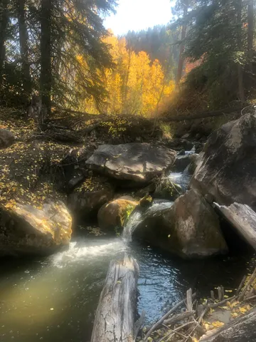 a view of outdoor space and yard