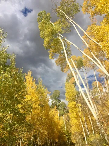 a view of a swimming pool