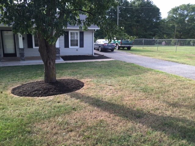 6 Van Patton Street Inman, SC 29349 - Photo 11 of 22