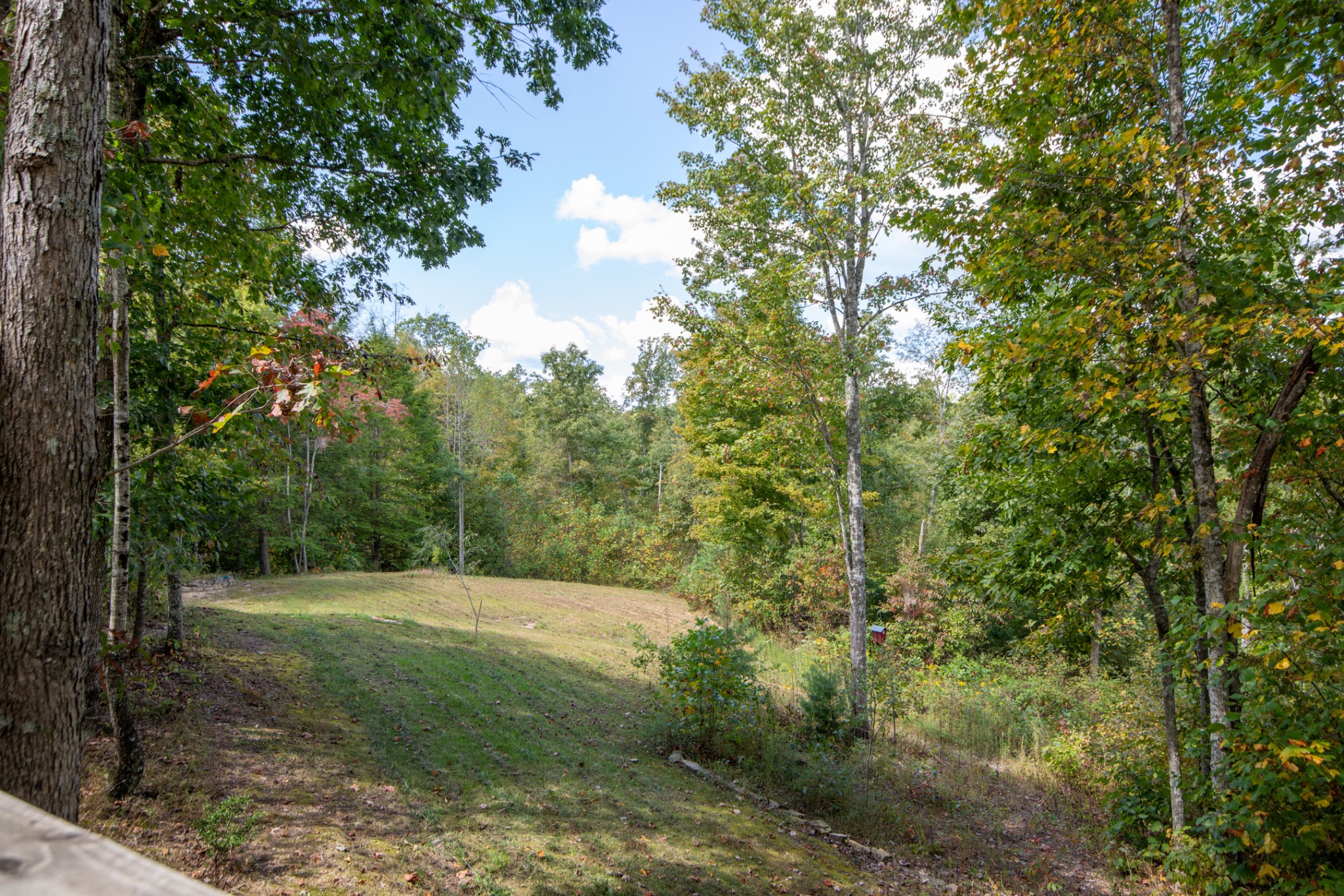35389 Highland Ridge Trail Crawford, TN 38554 - Photo 15 of 39 Gallery Image 15