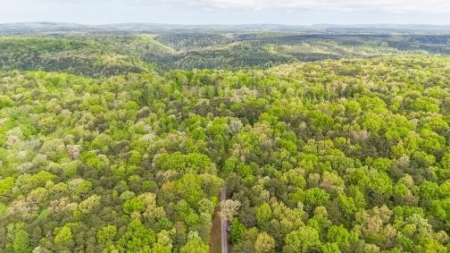 8993 Big Bend Road Signal Mountain, TN 37377 - Photo 13 of 30 Gallery Image 13