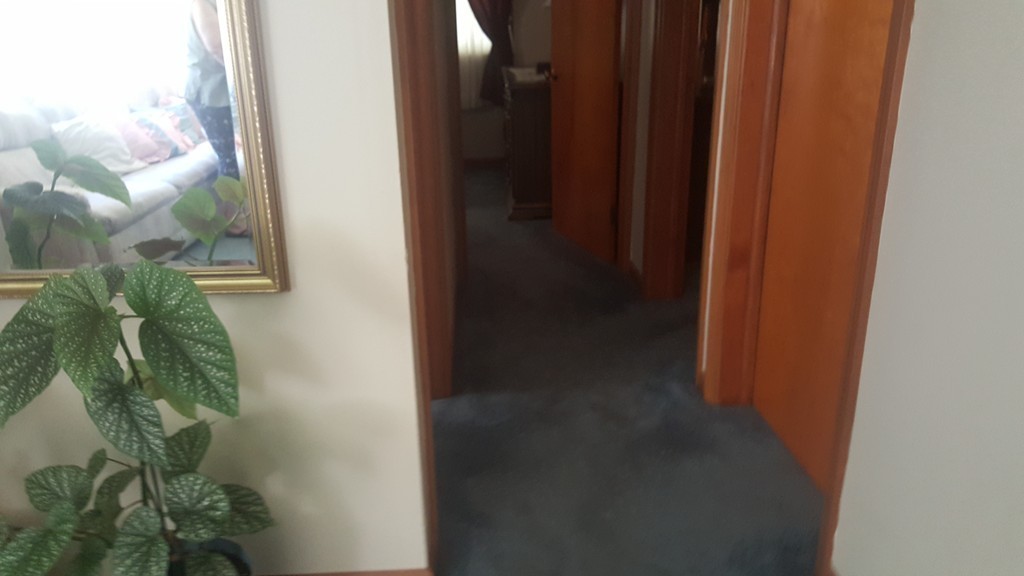 31 Rio Vista Street Springfield, MA 01104 - Photo 14 of 26 Gallery Image 14
