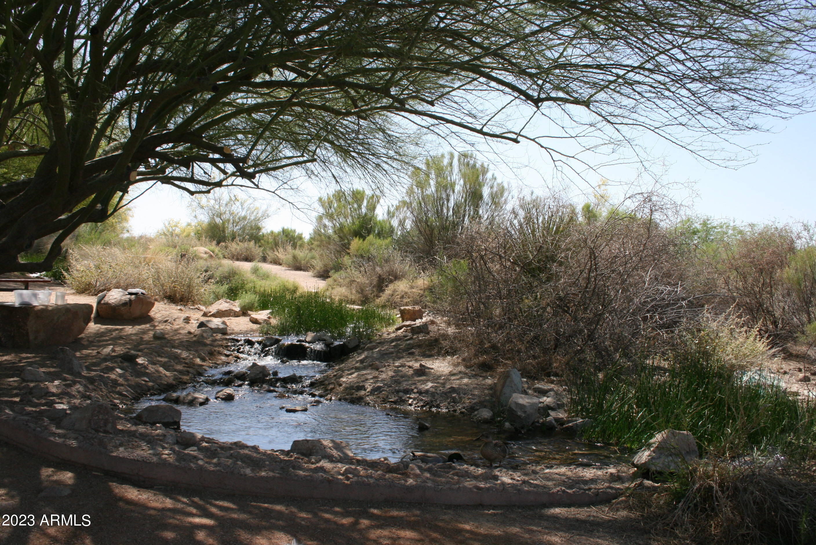 5415 East McKellips Road, Unit 10 Mesa, AZ 85215 - Photo 52 of 64 Riparian Preserve Gilbert Arizona 2