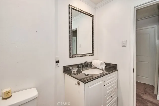 a potted plant sitting in front of a house