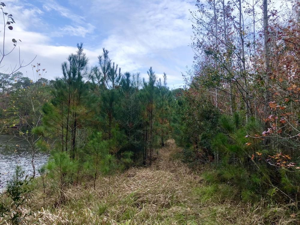 Tara Boulevard Daphne, AL 36527 - Photo 5 of 11