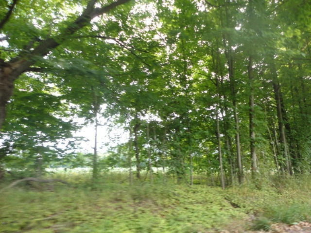 0 Dake Road Ionia, MI 48846 - Photo 2 of 9 DSC08696
