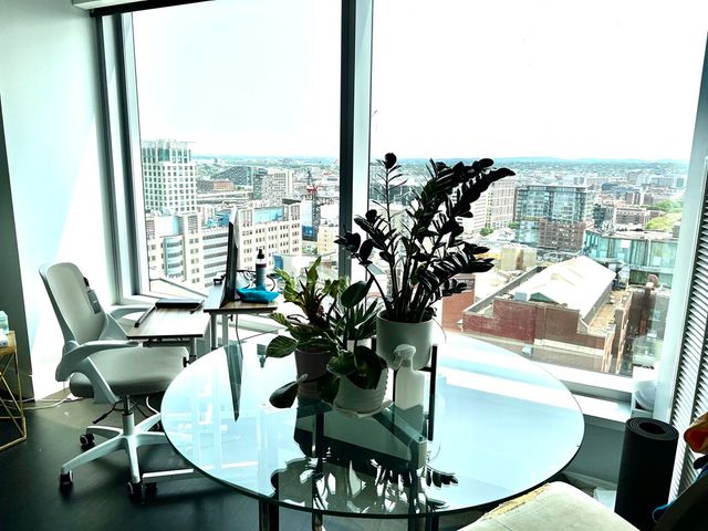 a view of a dining room with furniture a potted plant and wooden floor