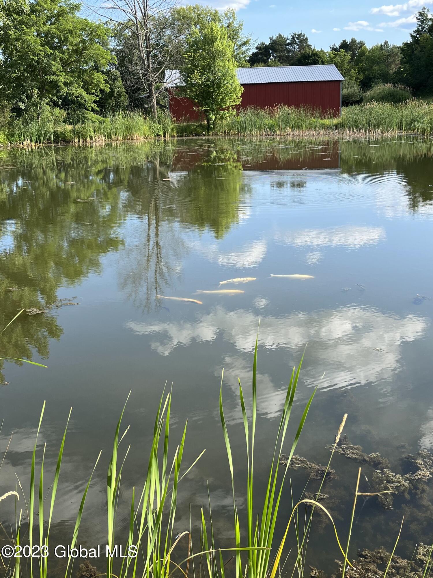 1399 Mariaville Road Rotterdam, NY 12306 - Photo 61 of 68 IMG_7684