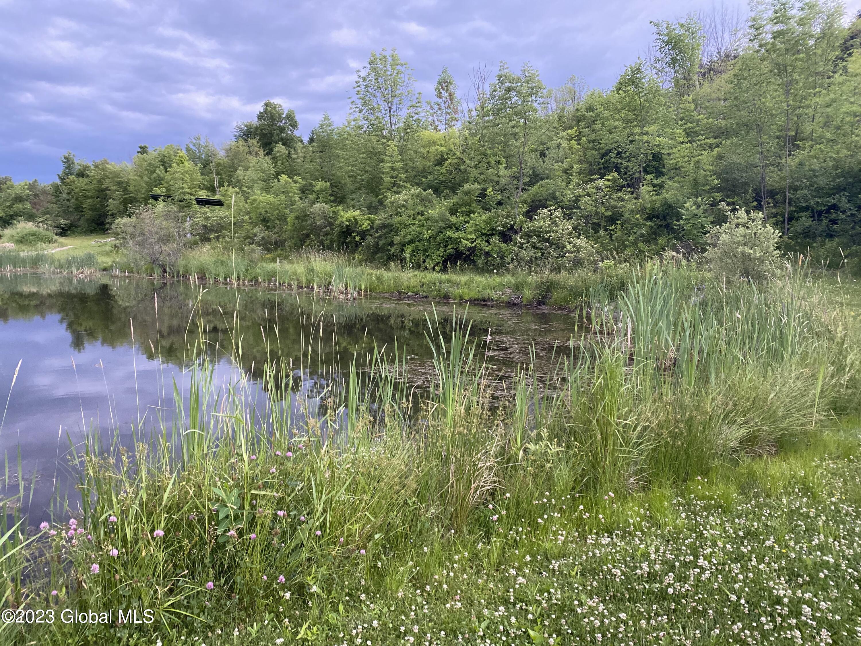 1399 Mariaville Road Rotterdam, NY 12306 - Photo 67 of 68 IMG_7695